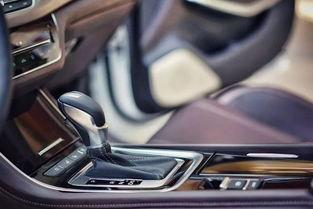 新车吃瓜,吃瓜群众围观揭秘！